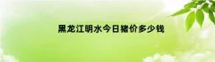 黑龙江明水今日猪价多少钱