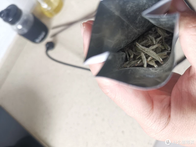 震惊!易武铜箐河殿堂级古树!嘎嘎嘎!