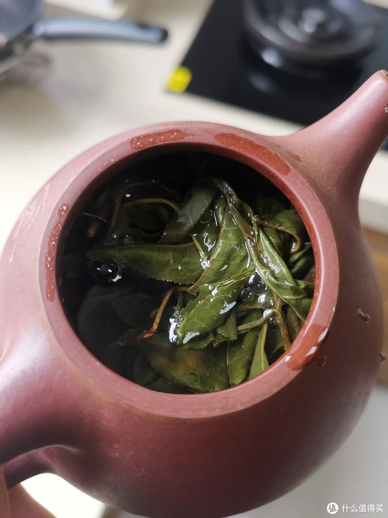 震惊!易武铜箐河殿堂级古树!嘎嘎嘎!