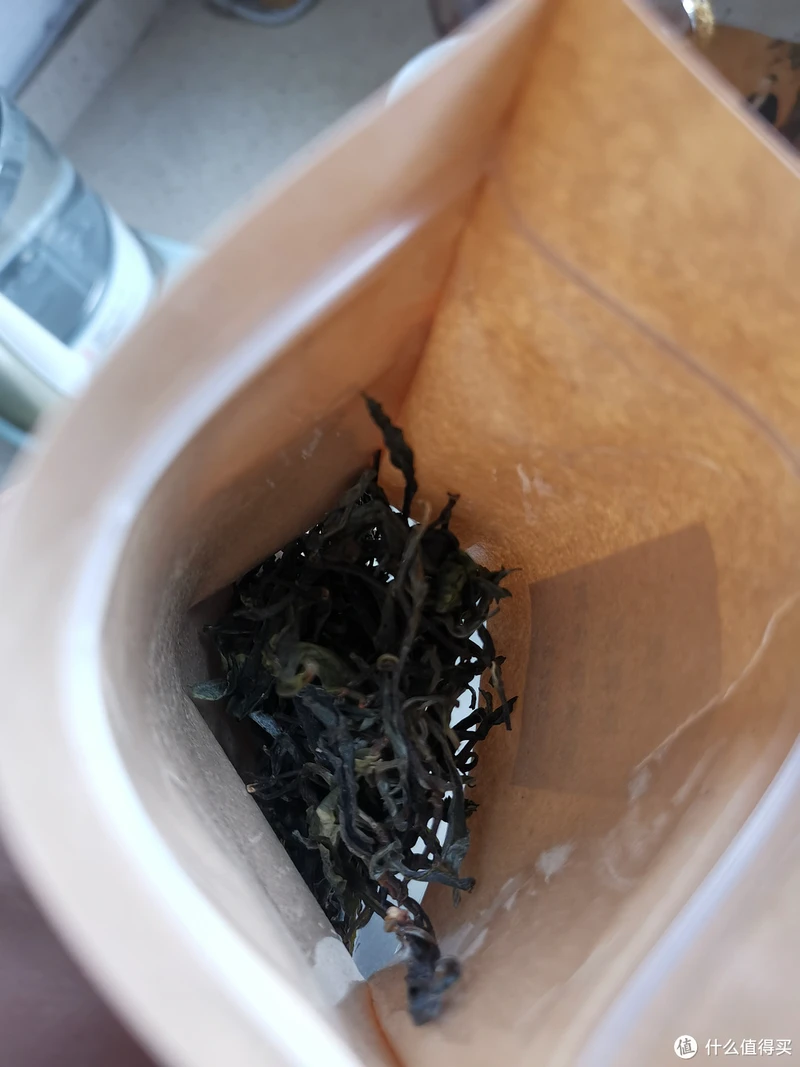 震惊!易武铜箐河殿堂级古树!嘎嘎嘎!