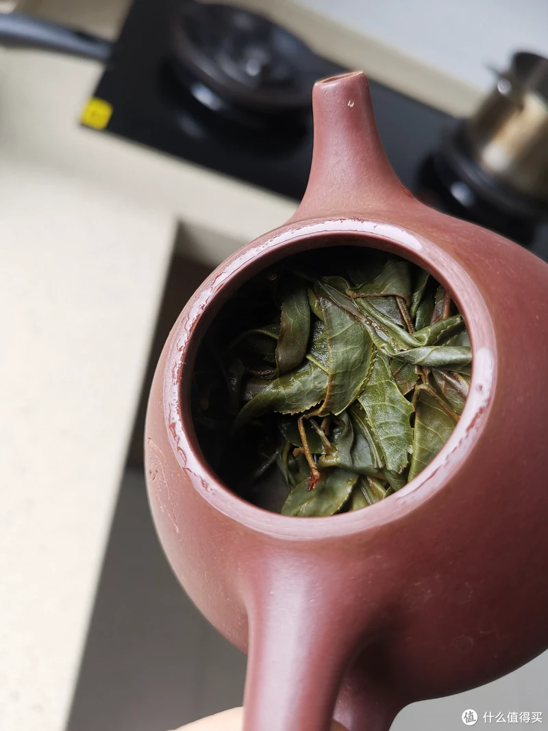 震惊!易武铜箐河殿堂级古树!嘎嘎嘎!