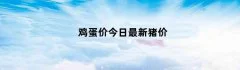 鸡蛋价今日最新猪价