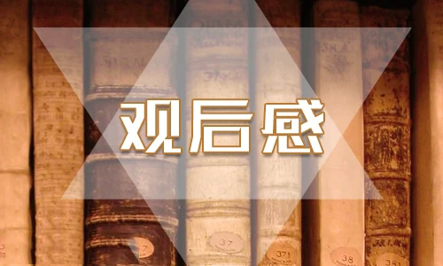 小兵张嘎观后感