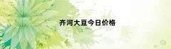 齐河大豆今日价格
