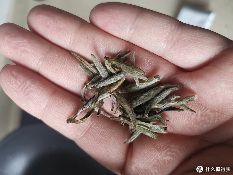 震惊!易武铜箐河殿堂级古树!嘎嘎嘎!