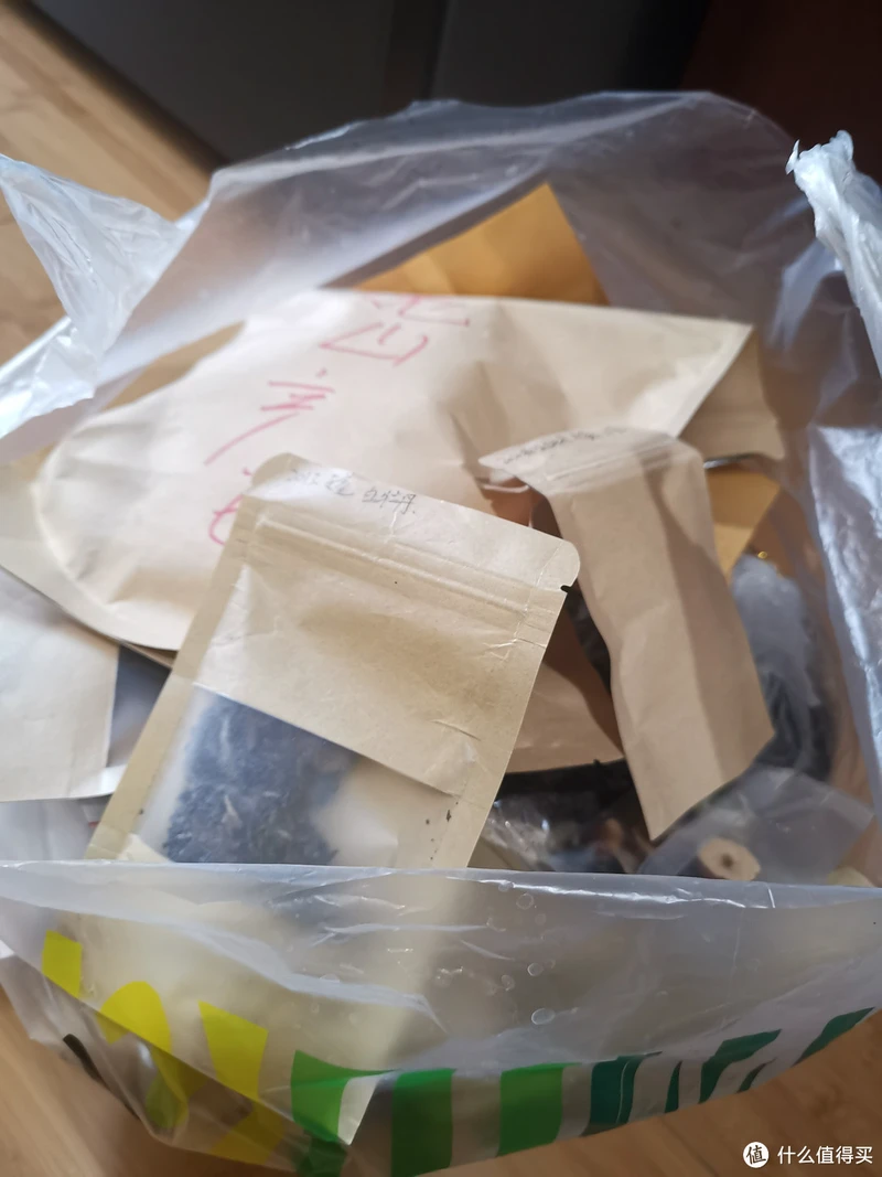 震惊!易武铜箐河殿堂级古树!嘎嘎嘎!