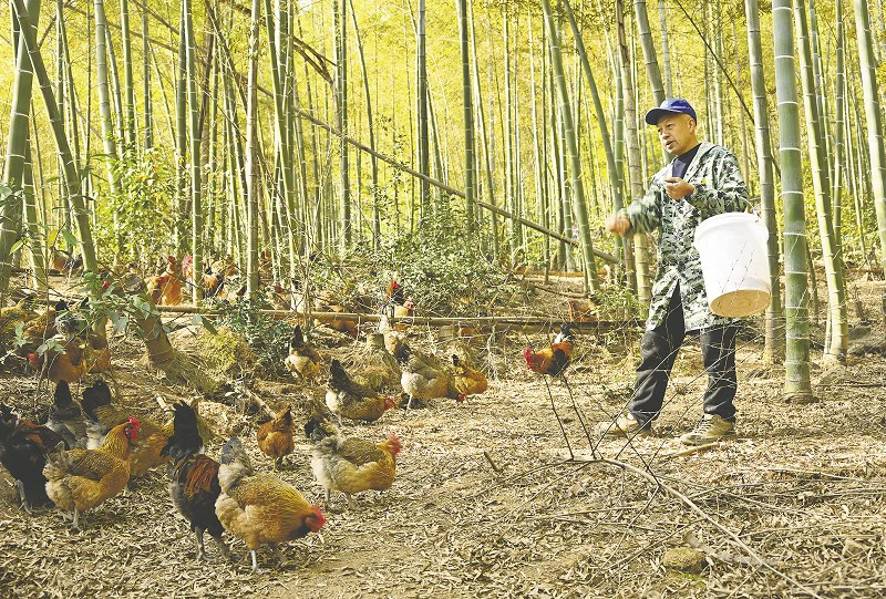 “鸡司令”用互联网思维念出“致富经” 