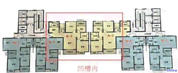 全面了解茶叶树根：功效、作用及图片欣