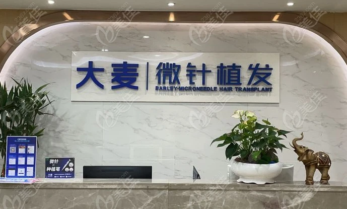 大麦微针只做真正的微针植发技术