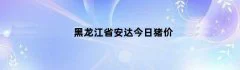 黑龙江省安达今日猪价