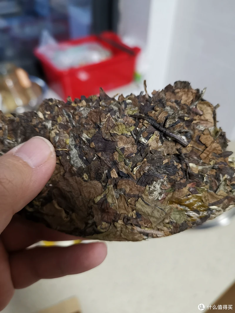震惊!易武铜箐河殿堂级古树!嘎嘎嘎!