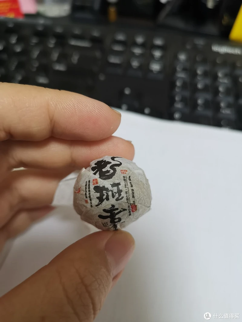 震惊!易武铜箐河殿堂级古树!嘎嘎嘎!