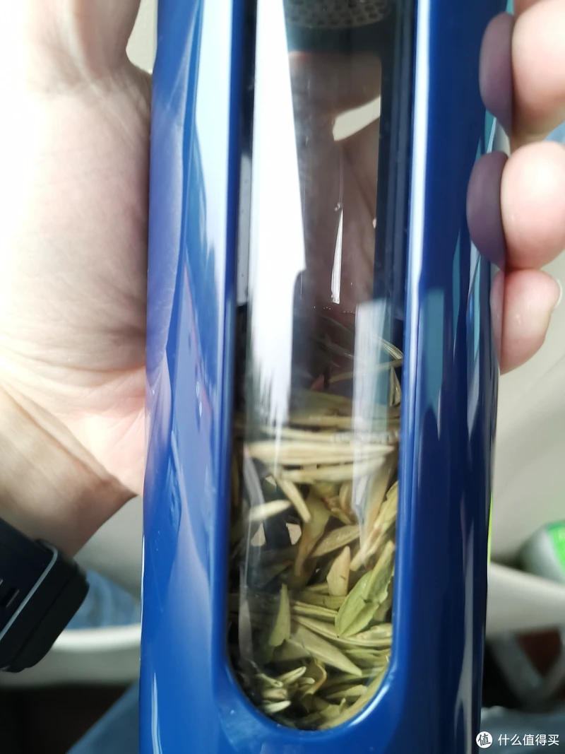 震惊!易武铜箐河殿堂级古树!嘎嘎嘎!