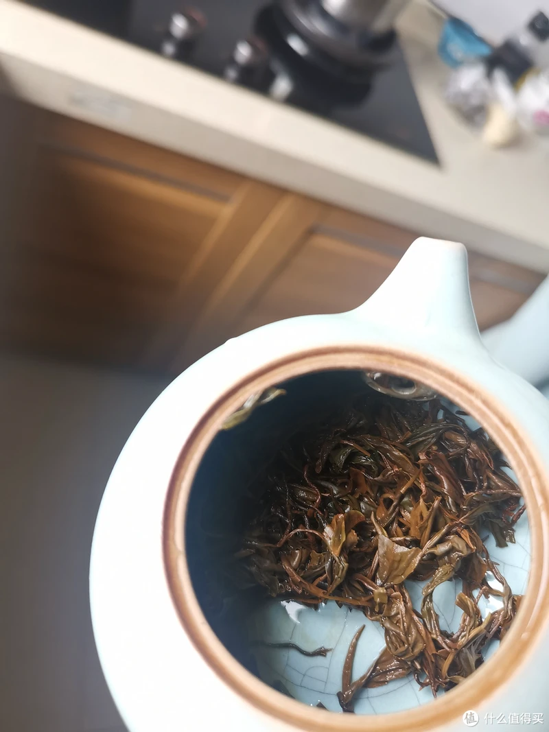 震惊!易武铜箐河殿堂级古树!嘎嘎嘎!