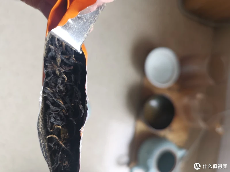 震惊!易武铜箐河殿堂级古树!嘎嘎嘎!