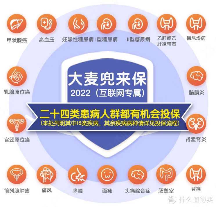 太猛了，华贵大麦2022定期寿险，最高可投保1个亿！附热销8款定寿测评
