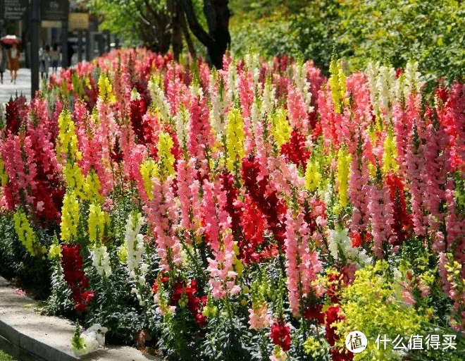 image-20231210213235434