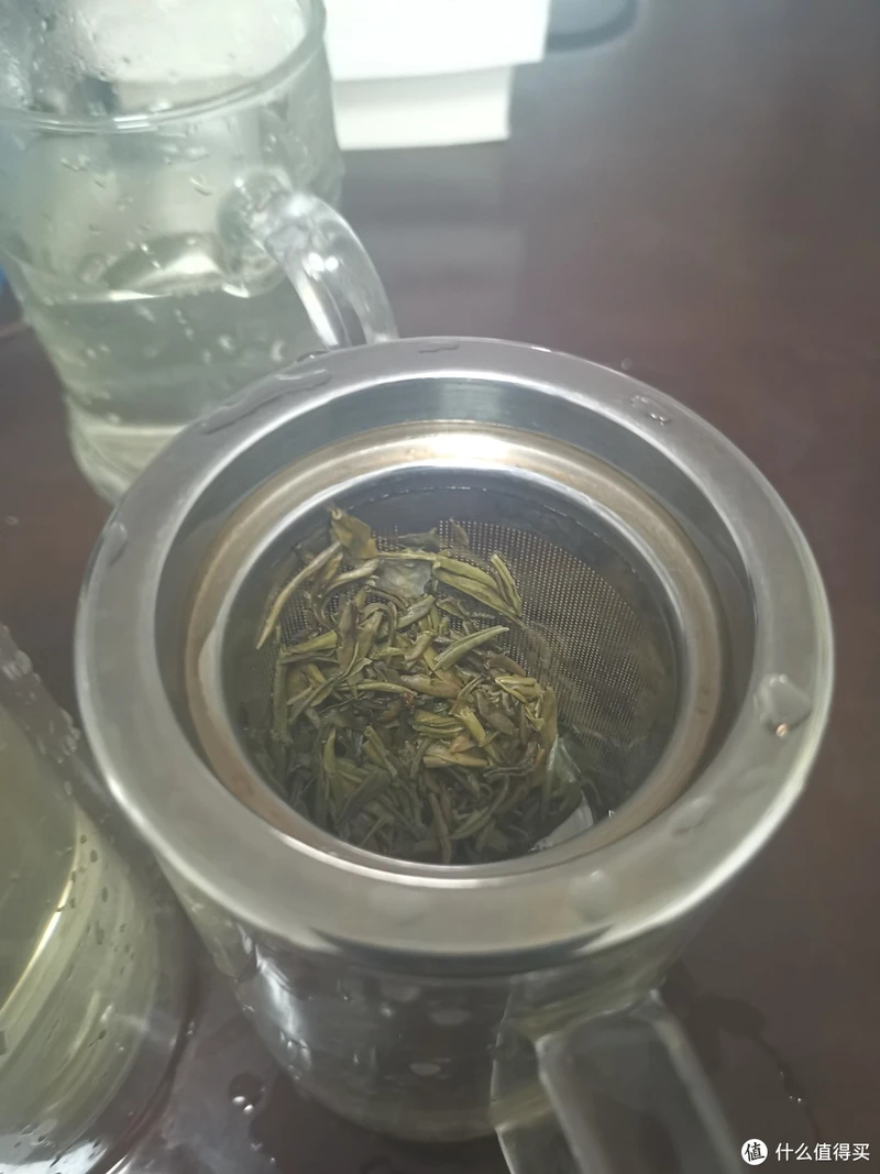 震惊!易武铜箐河殿堂级古树!嘎嘎嘎!