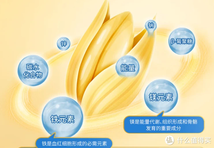 今天你吃了吗?如何吃出燕麦的美味和营养!篇一