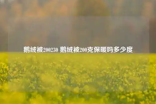 鹅绒被200230 鹅绒被200克保暖吗多少度