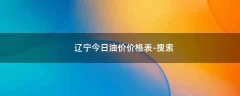 辽宁今日油价价格表 - 搜索