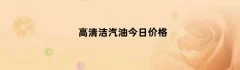 高清洁汽油今日价格