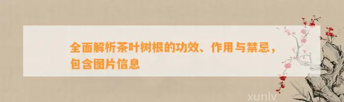 全面解析茶叶树根的功效、作用与禁忌，包含图片信息