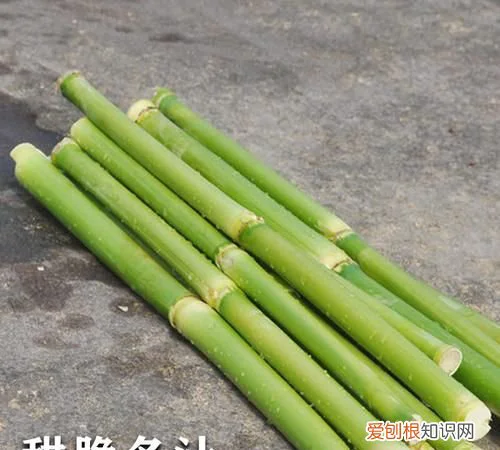 高粱杆可以吃吗,高粱杆里面有红心了还可以吃