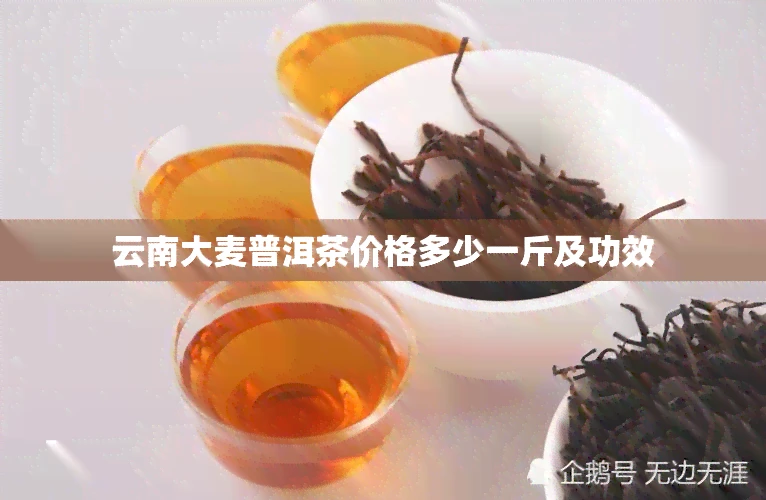 云南大麦普洱茶价格多少一斤及功效