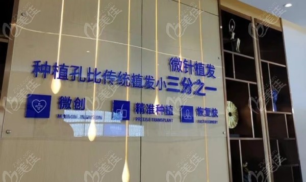 南京大麦微针植发