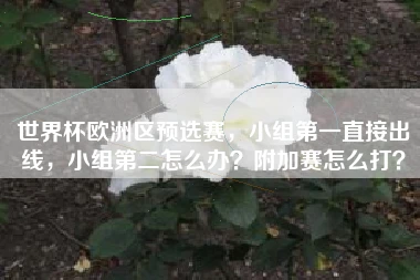 世界杯欧洲区预选赛，小组第一直接出线，小组第二怎么办？附加赛怎么打？