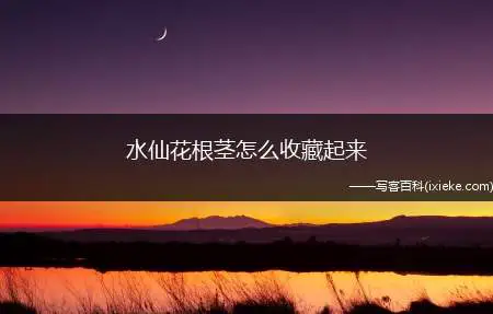 水仙花根茎怎么收藏起来