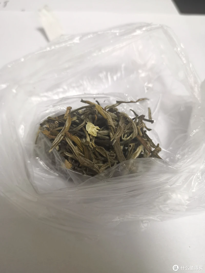 震惊!易武铜箐河殿堂级古树!嘎嘎嘎!