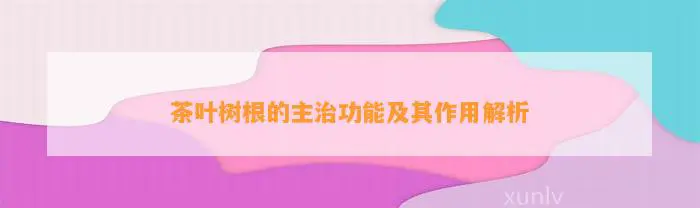 茶叶树根的主治功能及其作用解析