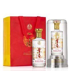 WULIANGYE 五粮液 一尊天下 纯粮优级酒 500ml*2瓶