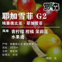 赏森 新产季埃塞俄比亚耶加雪菲G2 100g
