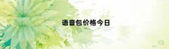 语音包价格今日