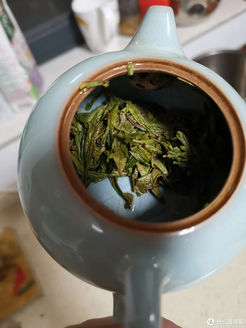 震惊!易武铜箐河殿堂级古树!嘎嘎嘎!