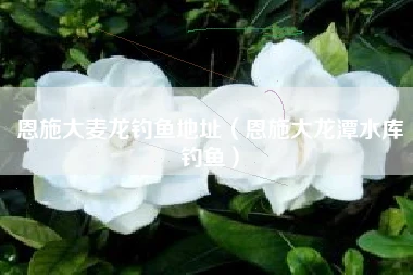 恩施大麦龙钓鱼地址（恩施大龙潭水库钓鱼）
