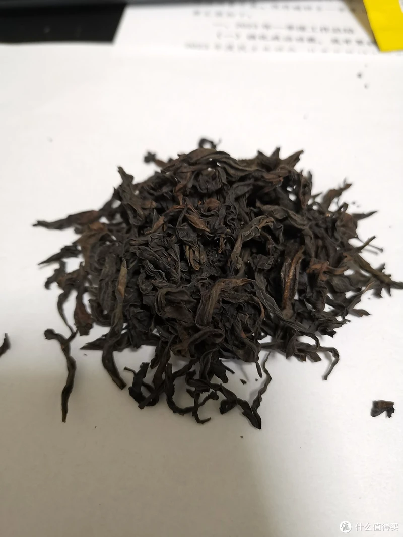 震惊!易武铜箐河殿堂级古树!嘎嘎嘎!