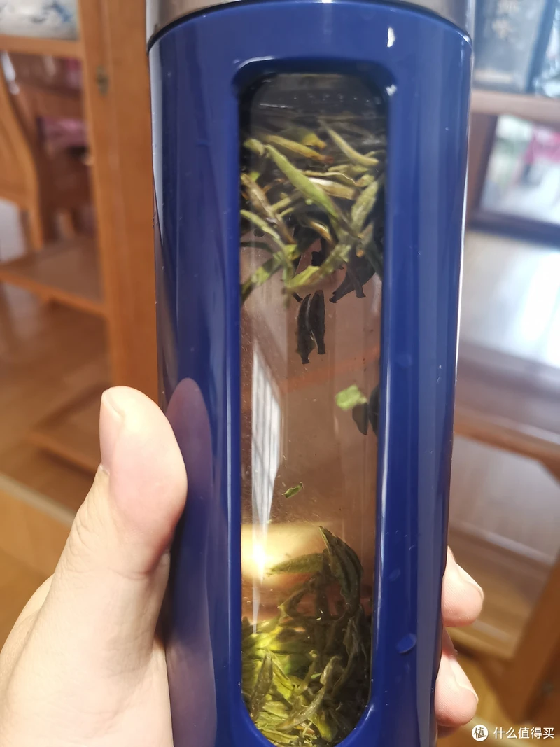 震惊!易武铜箐河殿堂级古树!嘎嘎嘎!