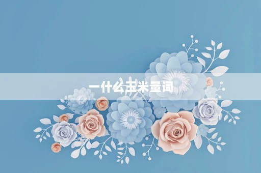 一什么玉米量词⎛⎞一什么玉米量词填空