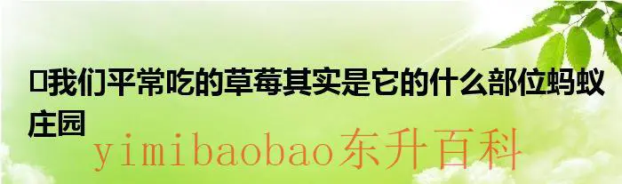 ​我们平常吃的草莓其实是它的什么部位蚂蚁庄园