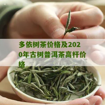 多依树茶价格及2020年古树普洱茶高杆价格