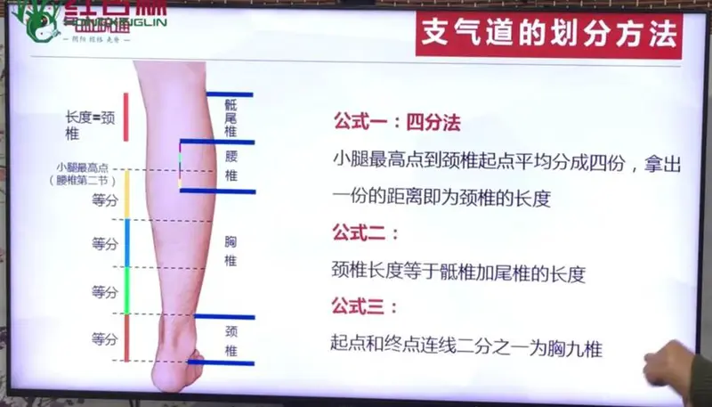 人体腿部位名称大全图解 腿部各个部位名称图
