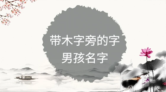 带木字旁的字男孩名字