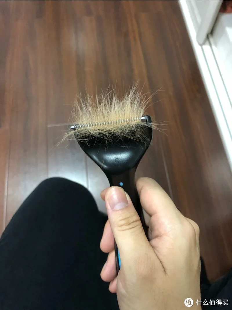 对于短毛猫，这种毛梳还是很不错的