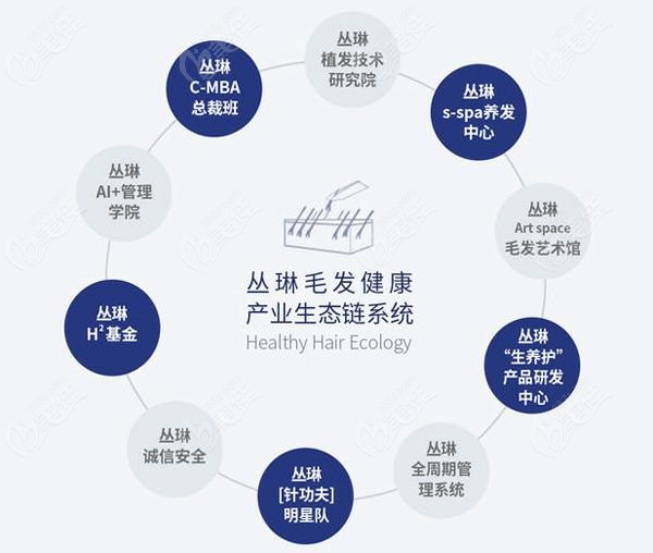 <!--<i data=20240703-sp></i>-->丛琳植发