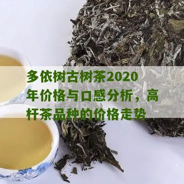 多依树古树茶2020年价格与口感分析，高杆茶品种的价格走势