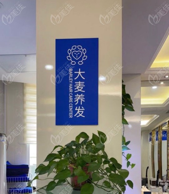 青岛大麦微针植发怎么样www.236z.com